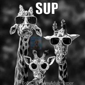 Meet your Posher, Alana